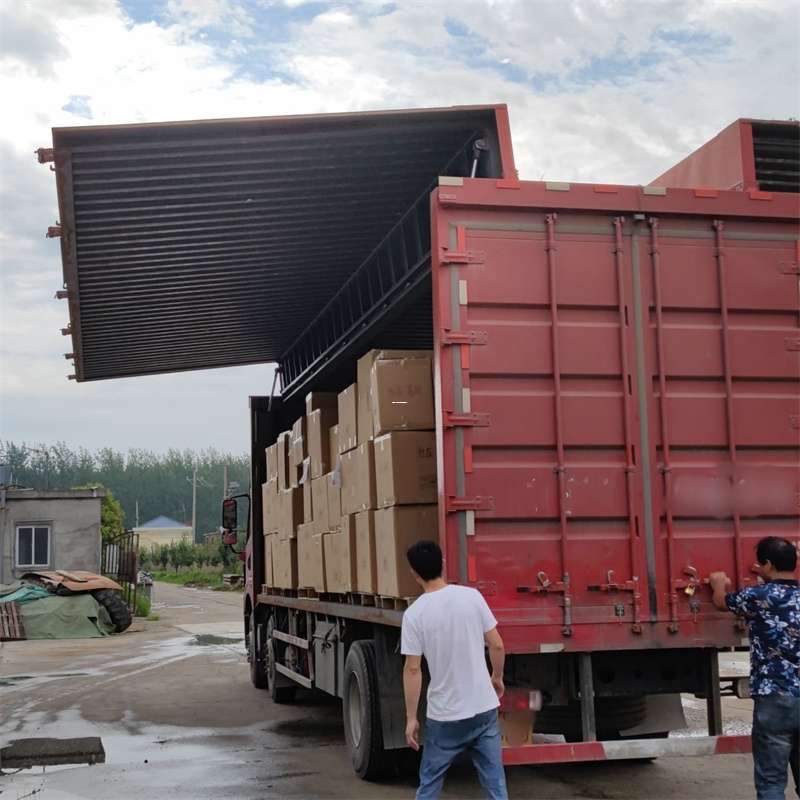 打安镇扎囊县：物流专线的高效货运之旅